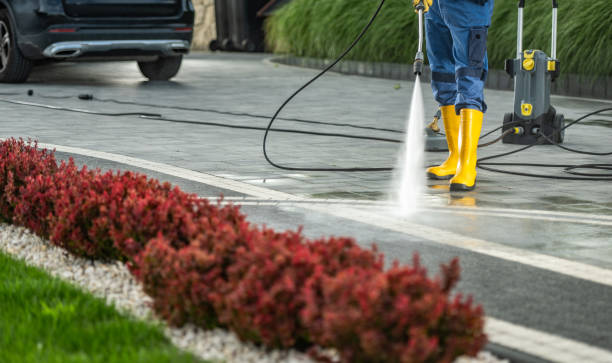 Animal Enclosure Cleaning in Englewood, FL